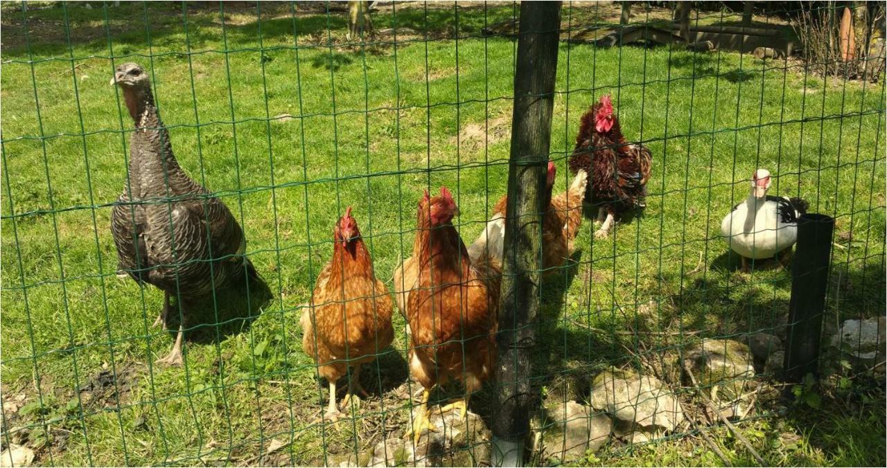 La Maison Lierue Fretigny المظهر الخارجي الصورة